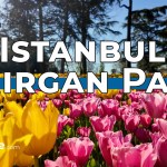 🌷 [4K] Istanbul Tulip Festival 2026 at Emirgan Park 🇹🇷 Beautiful Spring Flowers & Bosphorus Walk